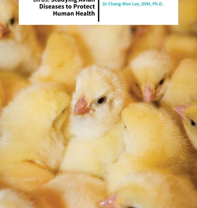 Dr Chang-Won Lee – Global Health is for the Birds: Studying Avian Diseases to Protect Human Health
