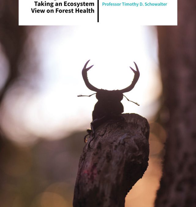 Professor Timothy Schowalter – Bugs are Friends: Taking an Ecosystem View on Forest Health