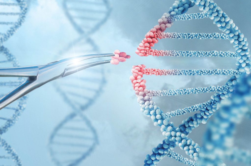 Dr. Erik Sontheimer – Innovation Is in Our RNA