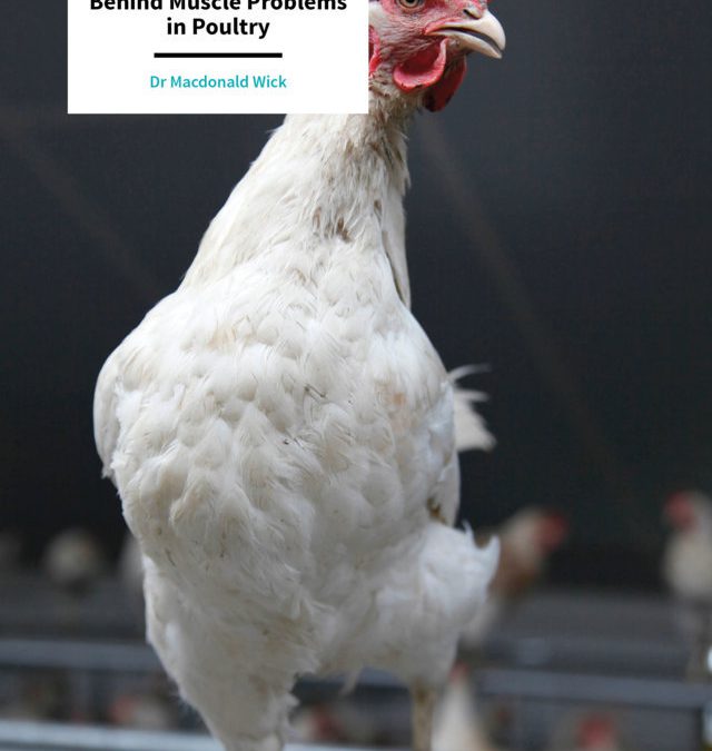 Dr Macdonald Wick – Illuminating the Causes Behind Muscle Problems in Poultry