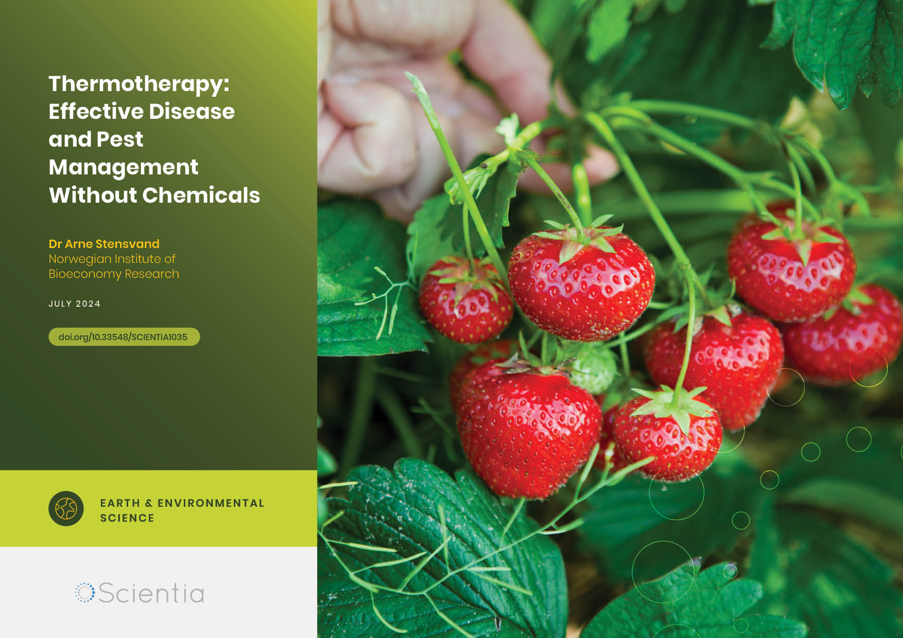 Dr Arne Stensvand | Thermotherapy: Effective Disease and Pest Management Without Chemicals