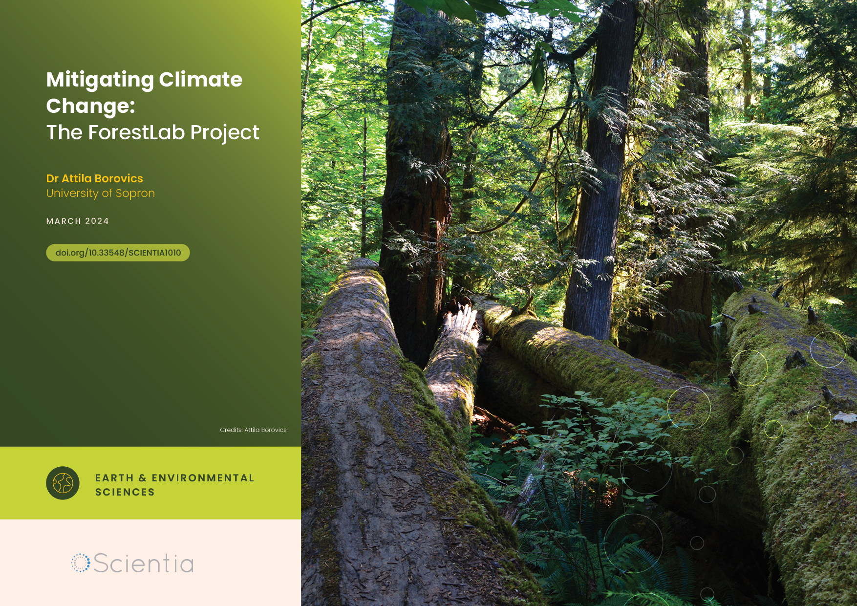 Dr Attila Borovics Mitigating Climate Change The ForestLab Project 