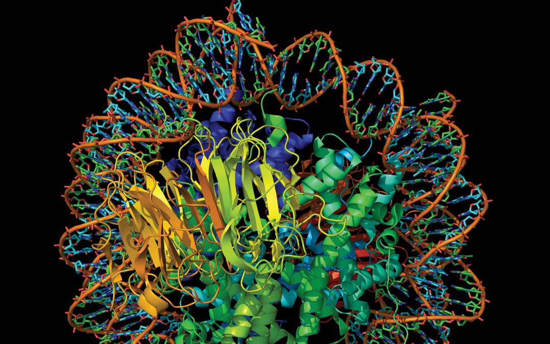 Professor Gert Bange | Dr Wieland Steinchen – Bridging the Gap Between Protein Structure and Dynamics