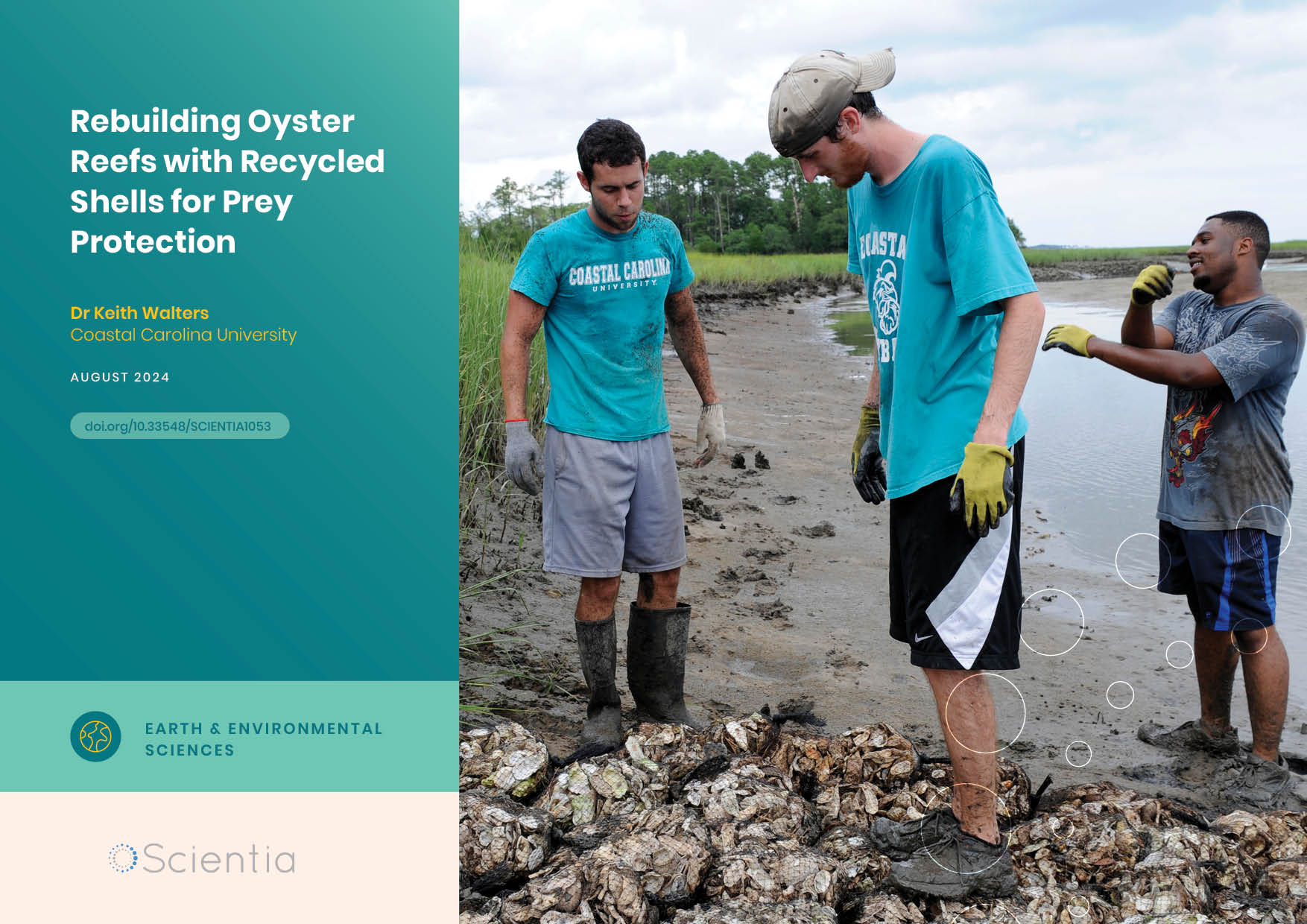 Dr Keith Walters | Rebuilding Oyster Reefs with Recycled Shells for Prey Protection