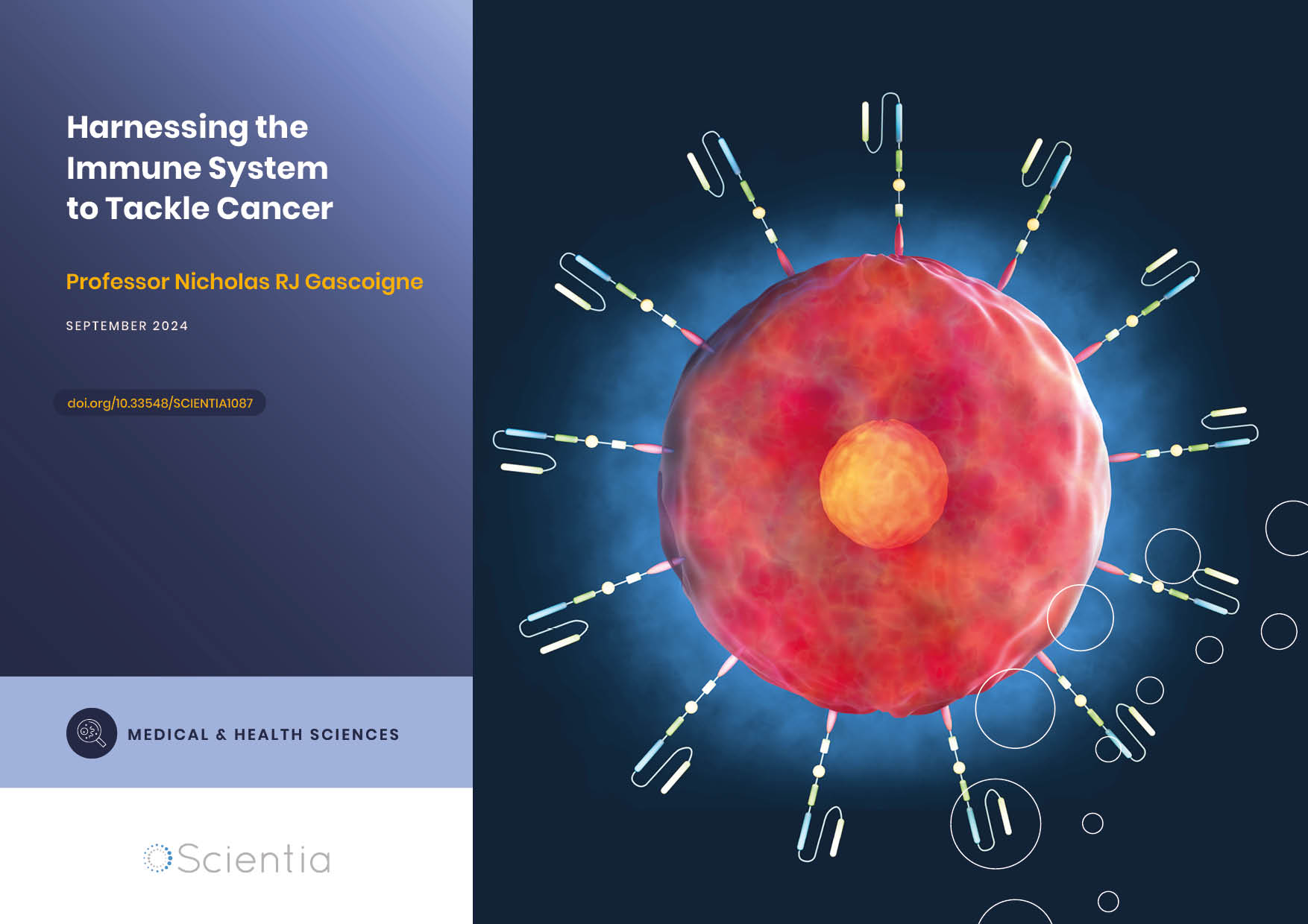 Dr Nicholas Gascoigne | Harnessing the Immune System to Tackle Cancer