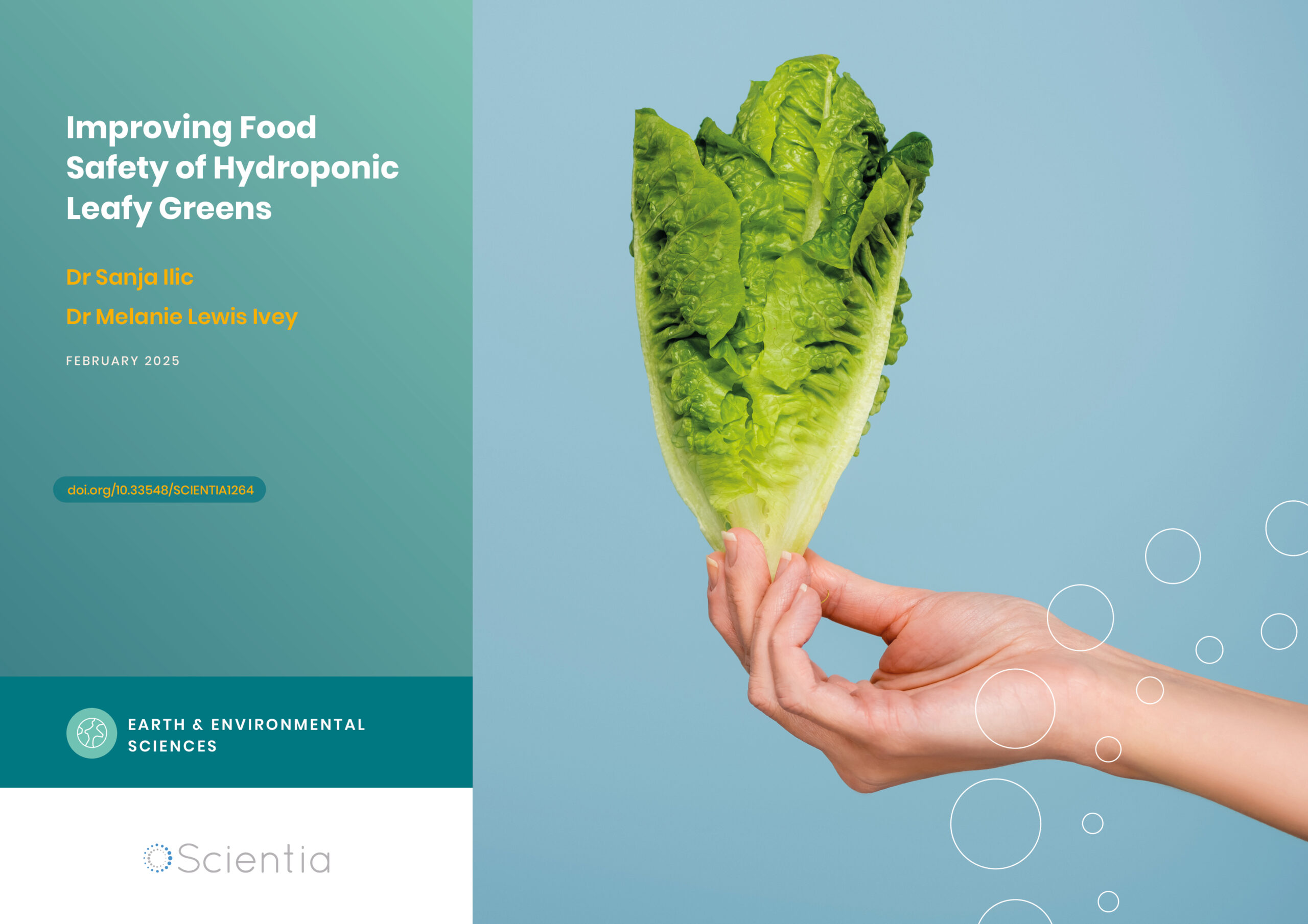 Improving Food Safety of Hydroponic Leafy Greens