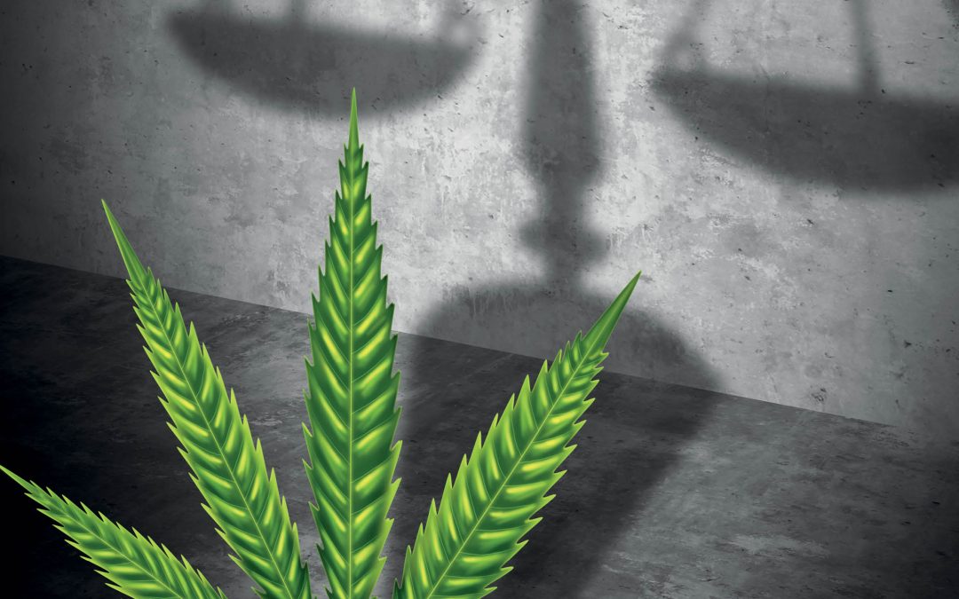 Professor Patricia Erickson | Professor Andrew Hathaway – Cannabis Use: The New Normal?