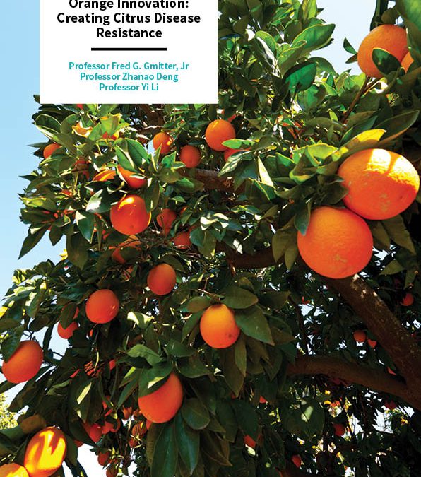 Orange Innovation: Creating Citrus Disease Resistance