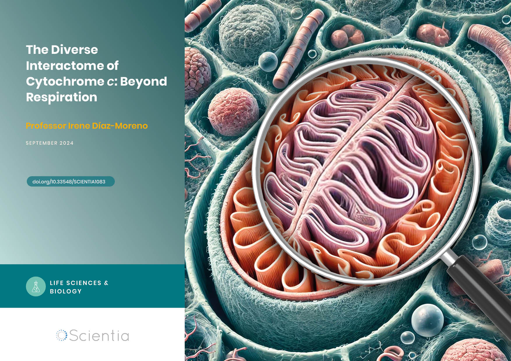 Professor Irene Díaz-Moreno – Professor Miguel A. De la Rosa | The Diverse Interactome of Cytochrome c: Beyond Respiration