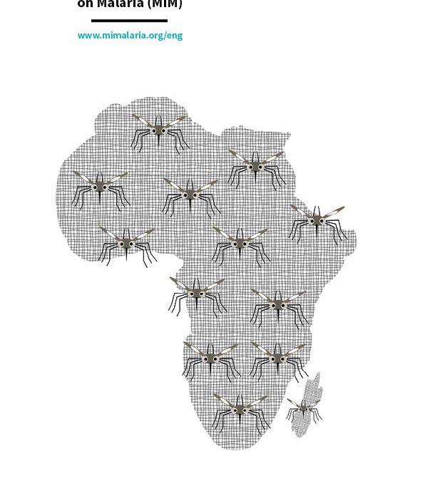 The Multilateral Initiative on Malaria (MIM)