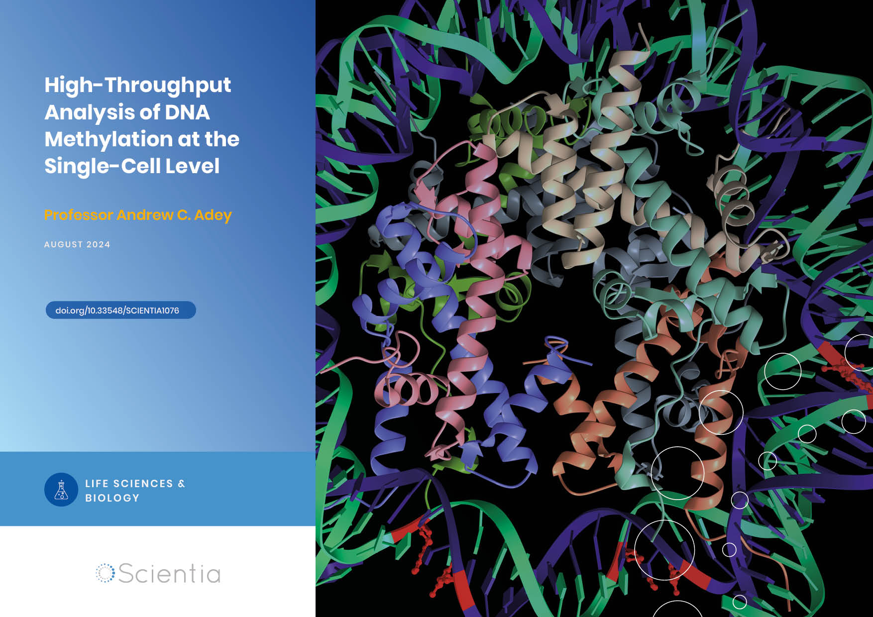 Professor Andrew Adey | High-Throughput Analysis of DNA Methylation at the Single-Cell Level