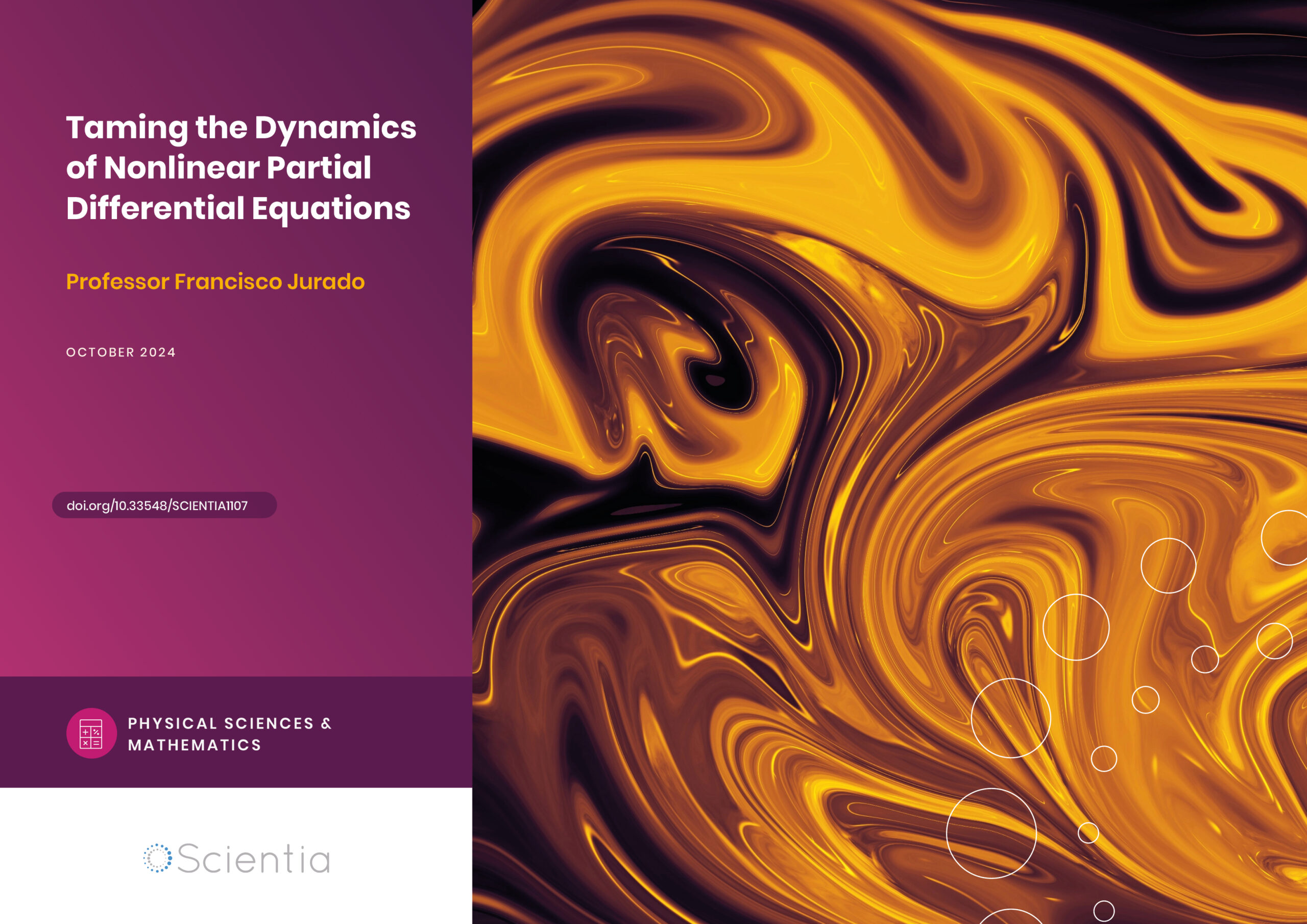 Professor Francisco Jurado | Taming the Dynamics of Nonlinear Partial Differential Equations