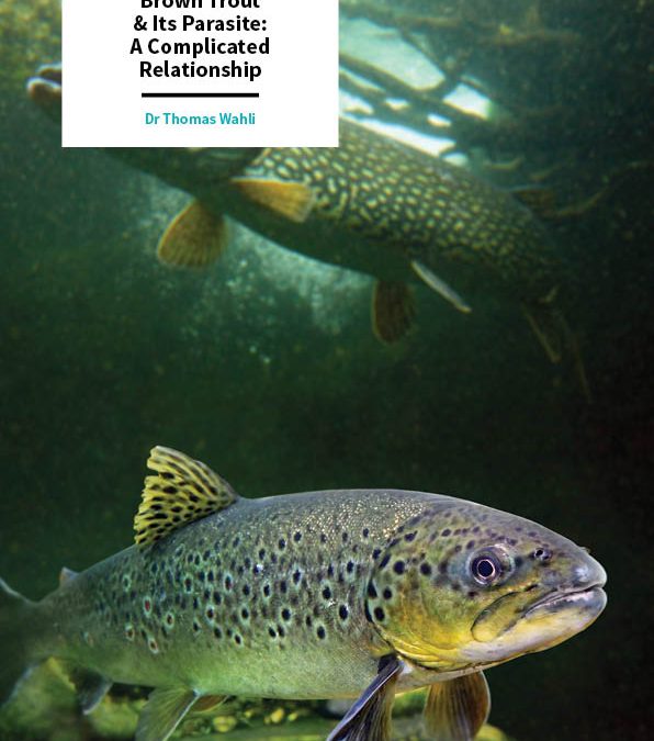 Dr Thomas Wahli – Brown Trout & Its Parasite: A Complicated Relationship